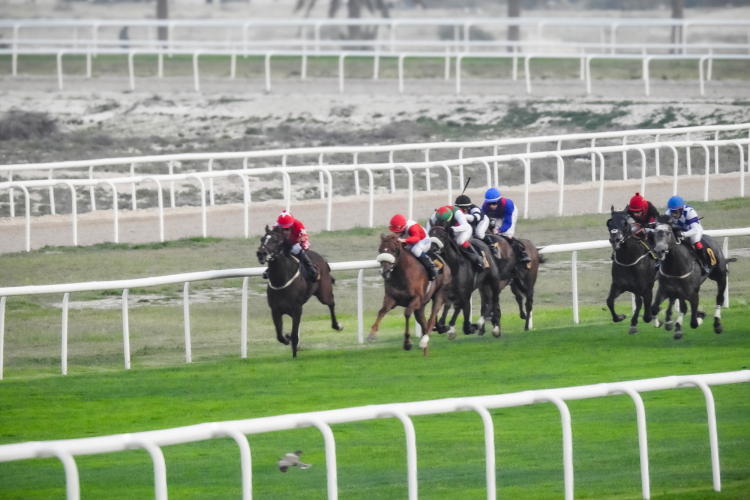 Horse Racing