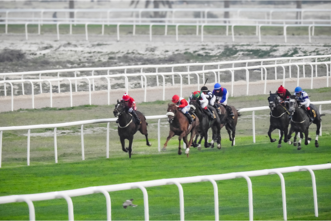 Horse Racing