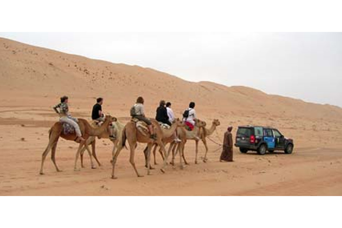 Camel train