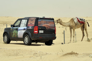 The Camel wants to join the team 