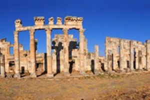 Afamia panorama