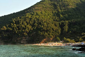 Paradise beach