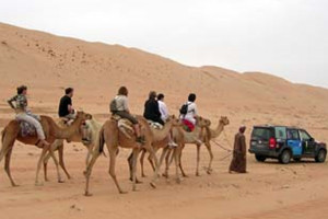 Camel train